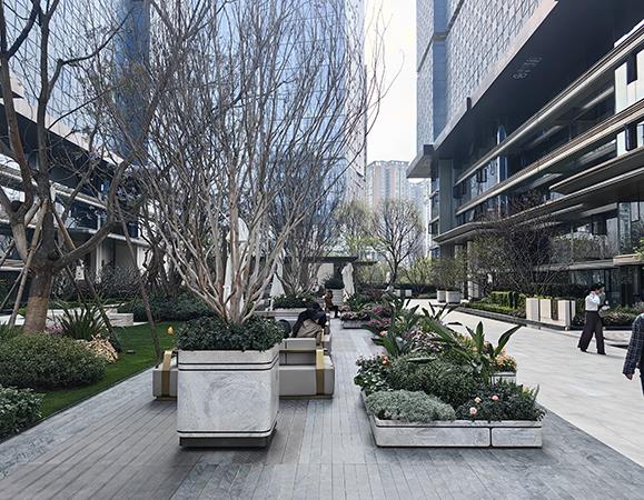 昆明某项目树箱现场图片